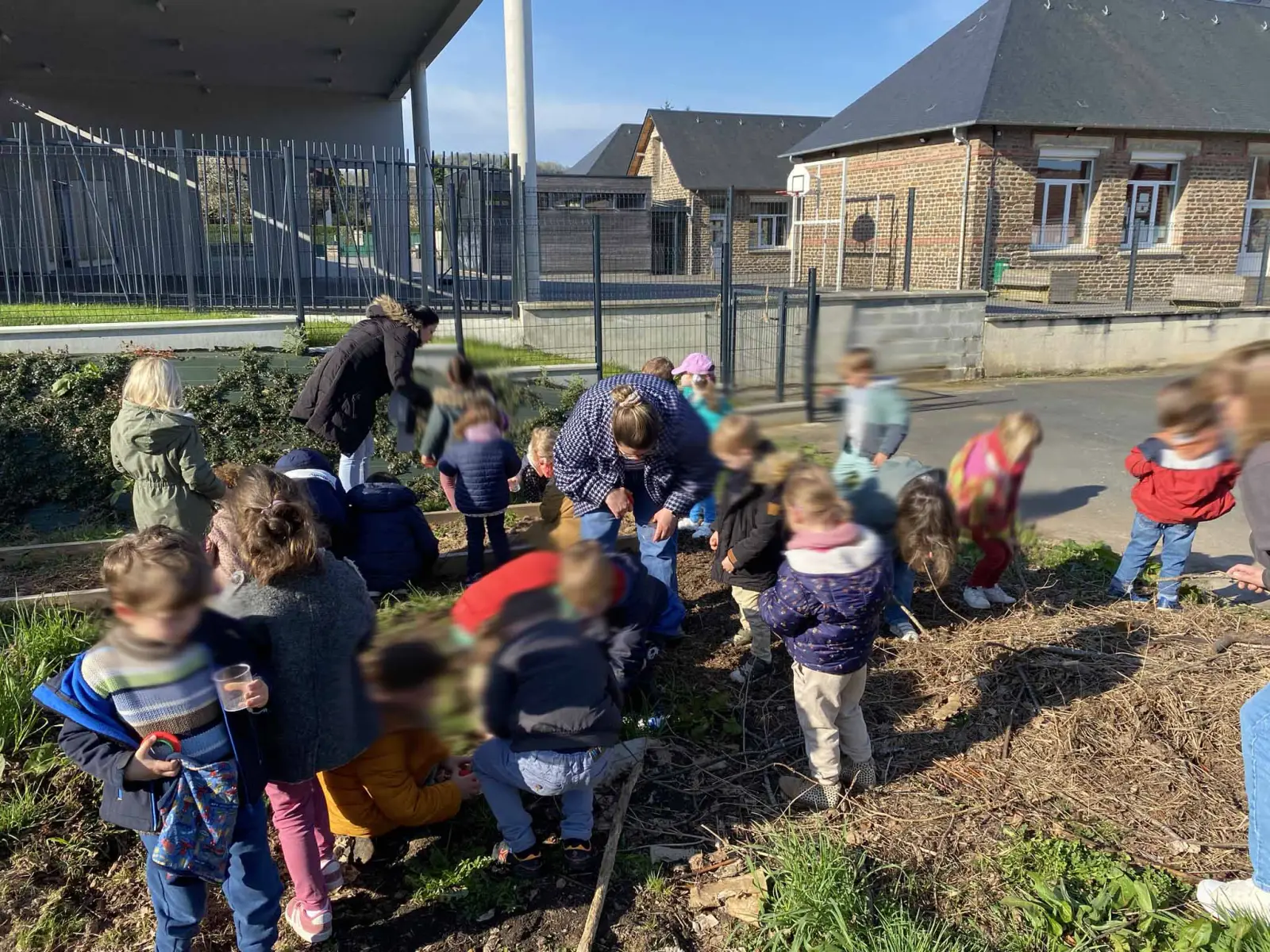 Animation au jardin avec des enfants