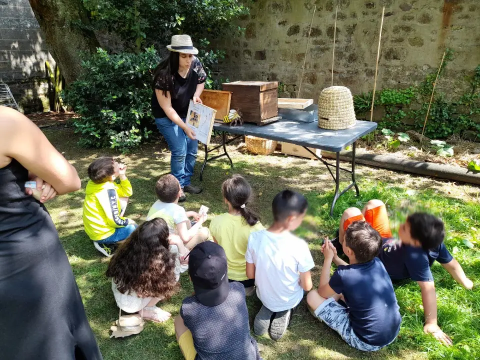 Animation autour des abeilles