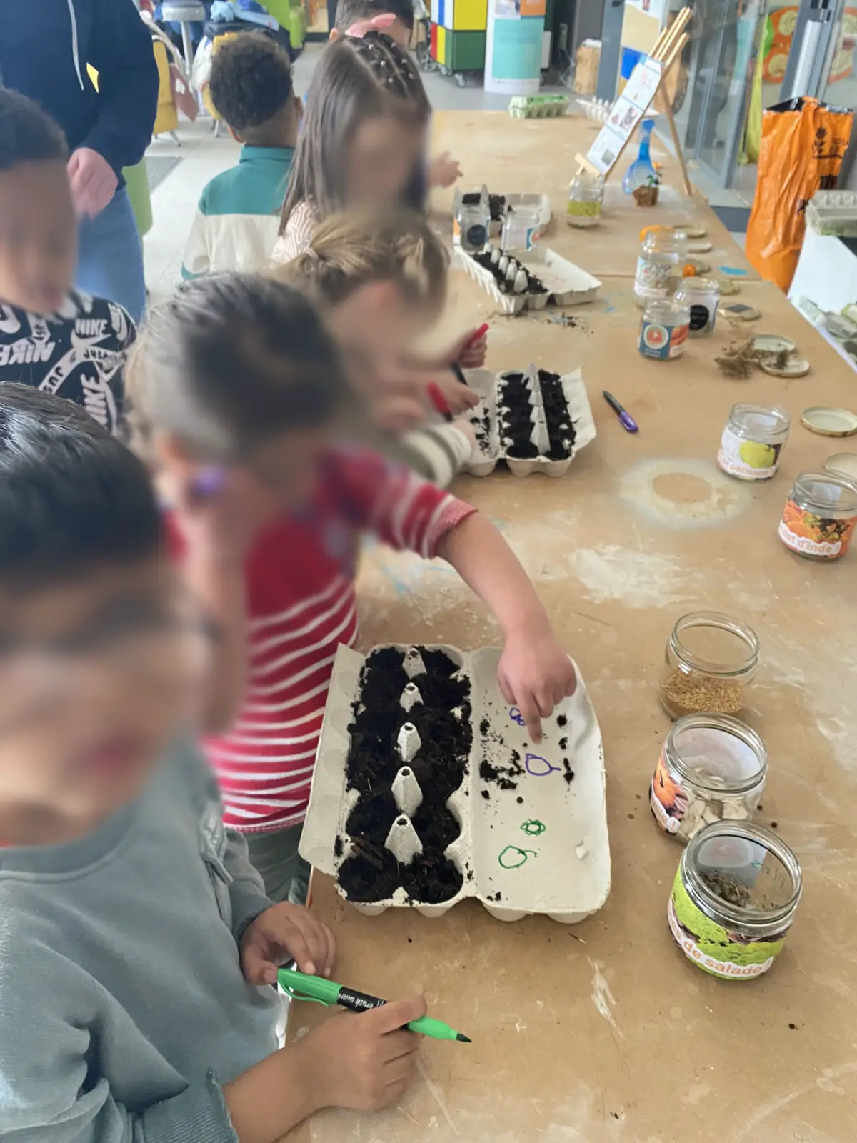 Atelier semis en godets avec des enfants