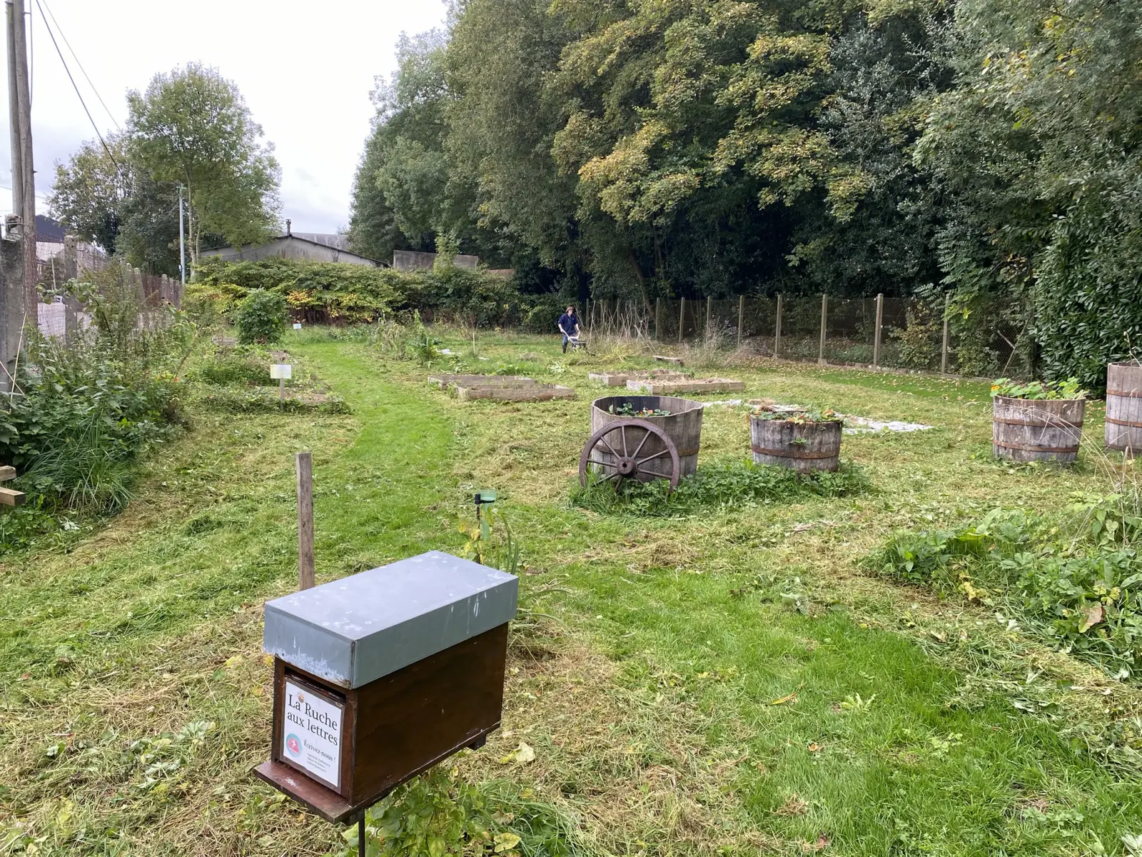 Le rucher au fond du jardin