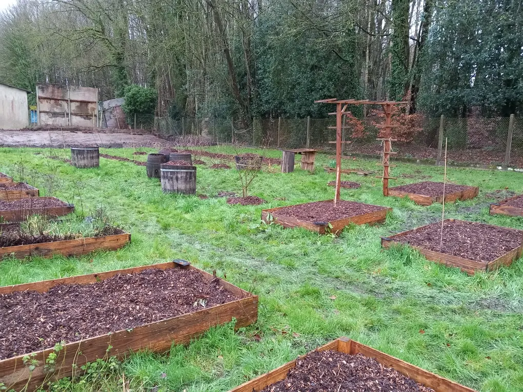 Carrés potagers du jardin