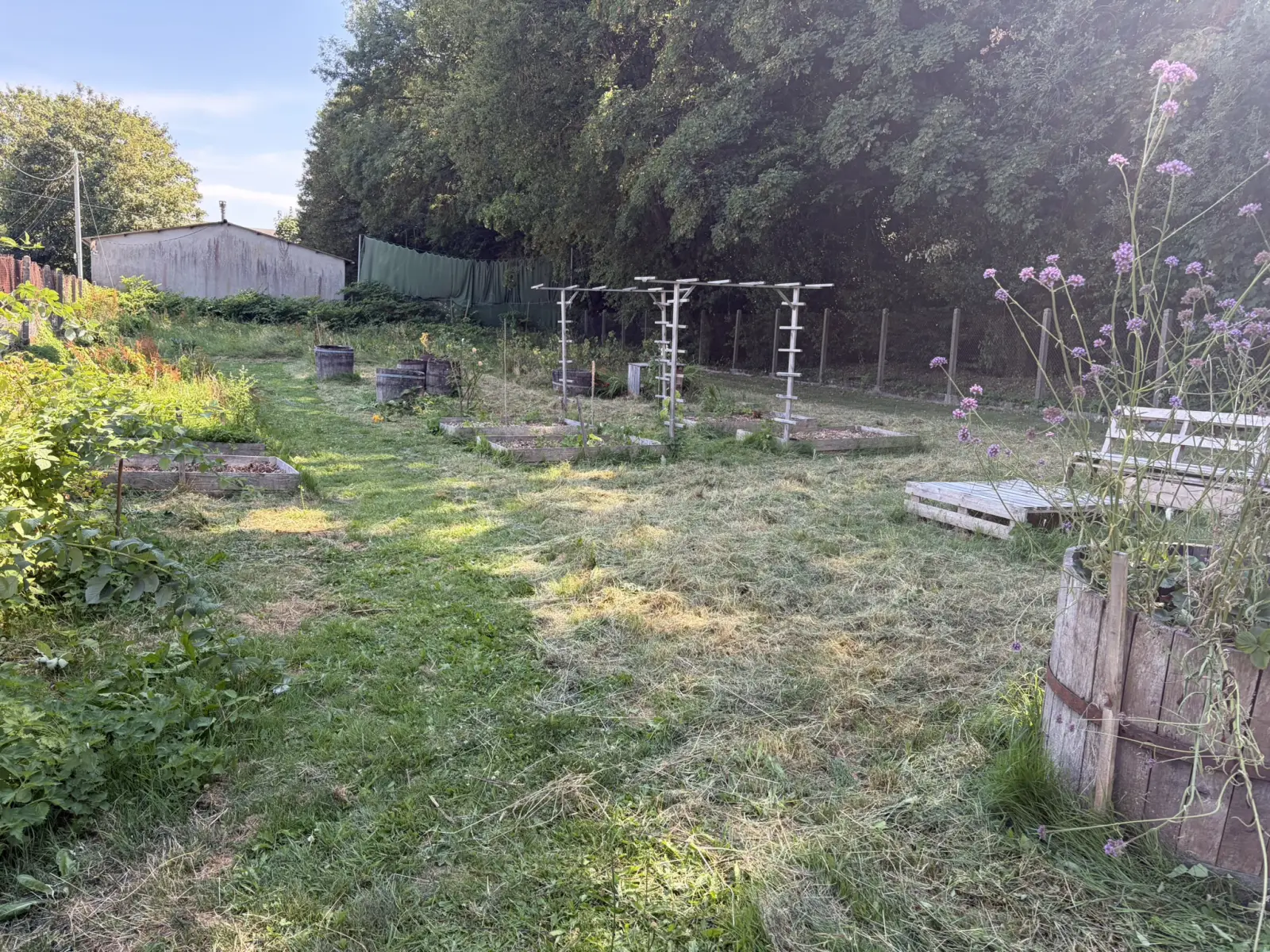 Le potager en permaculture d'API Potager au château de Flers
