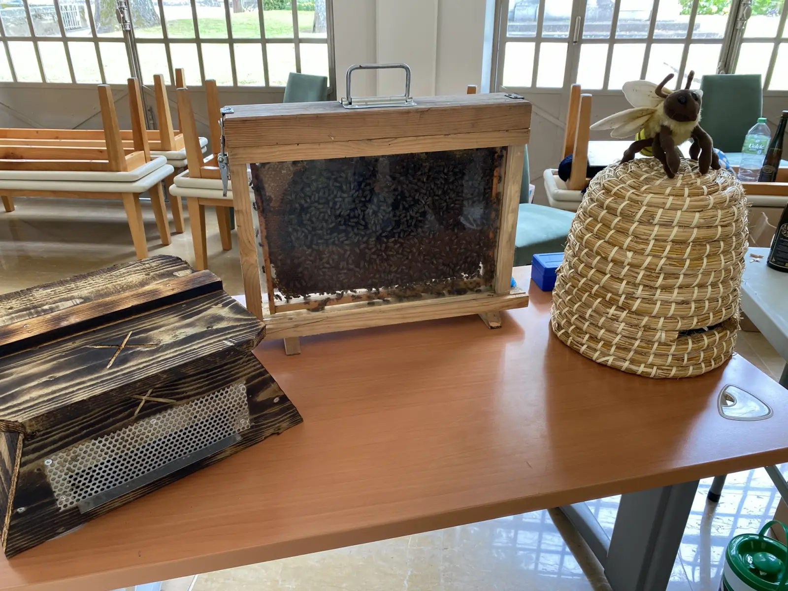 Ruche vitrée pour observer une colonie d'abeilles