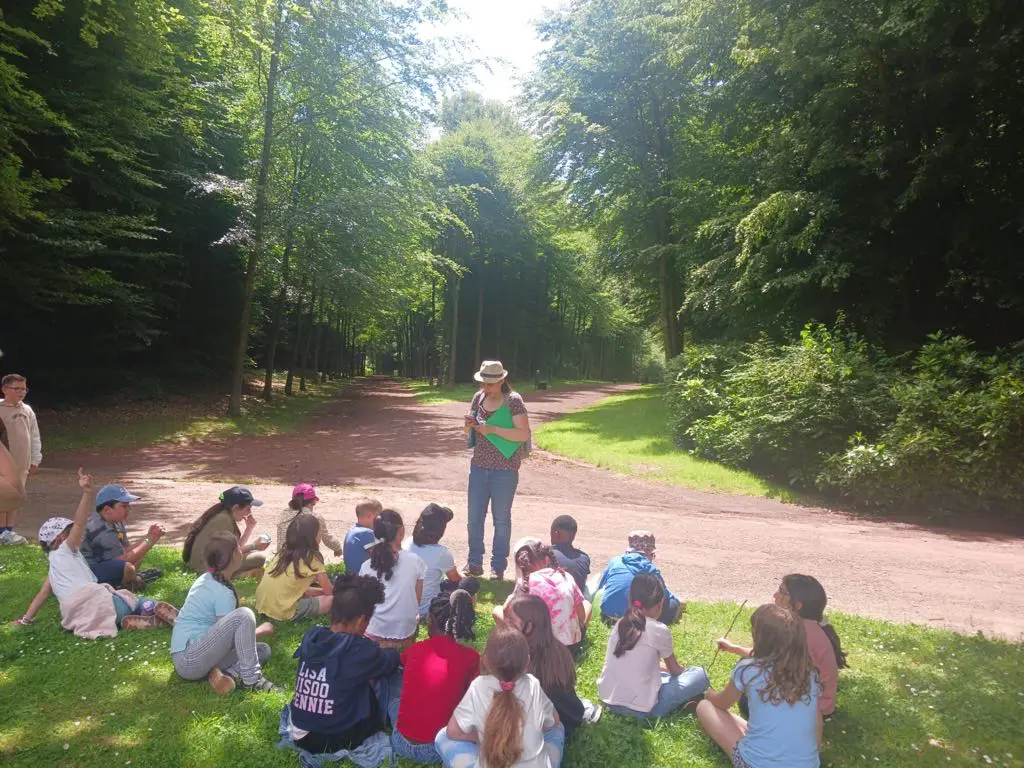 Balade botanique en groupe